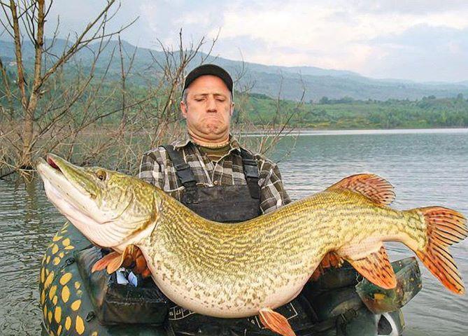 diverse adunate 2 - 4006734522789048668571343190222n.jpg